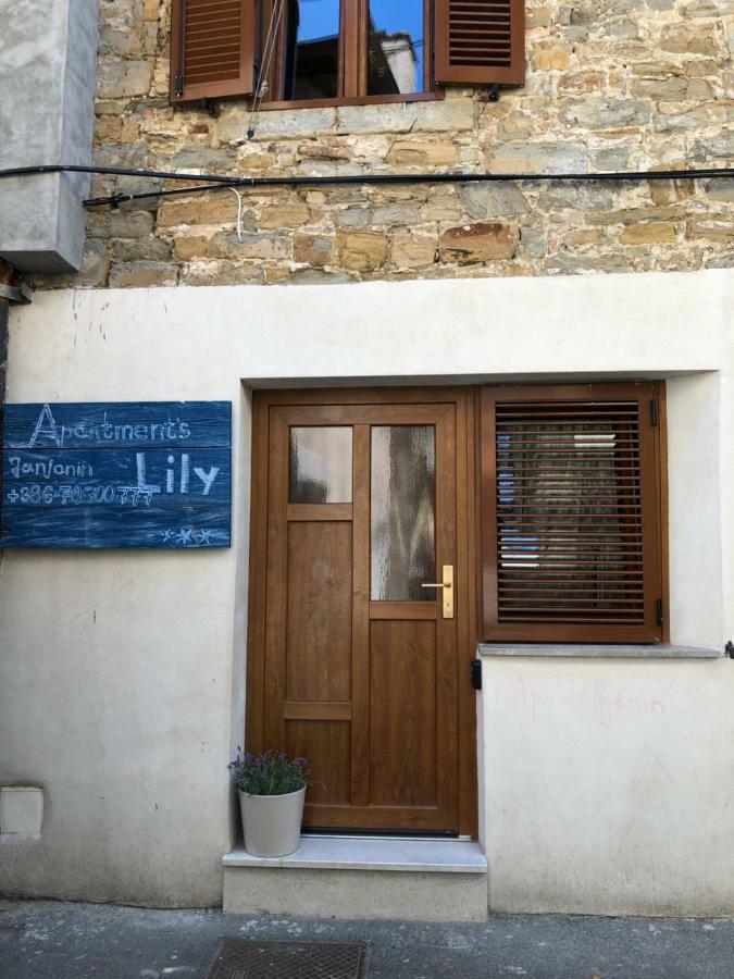 Lily Apartment Копер Екстериор снимка